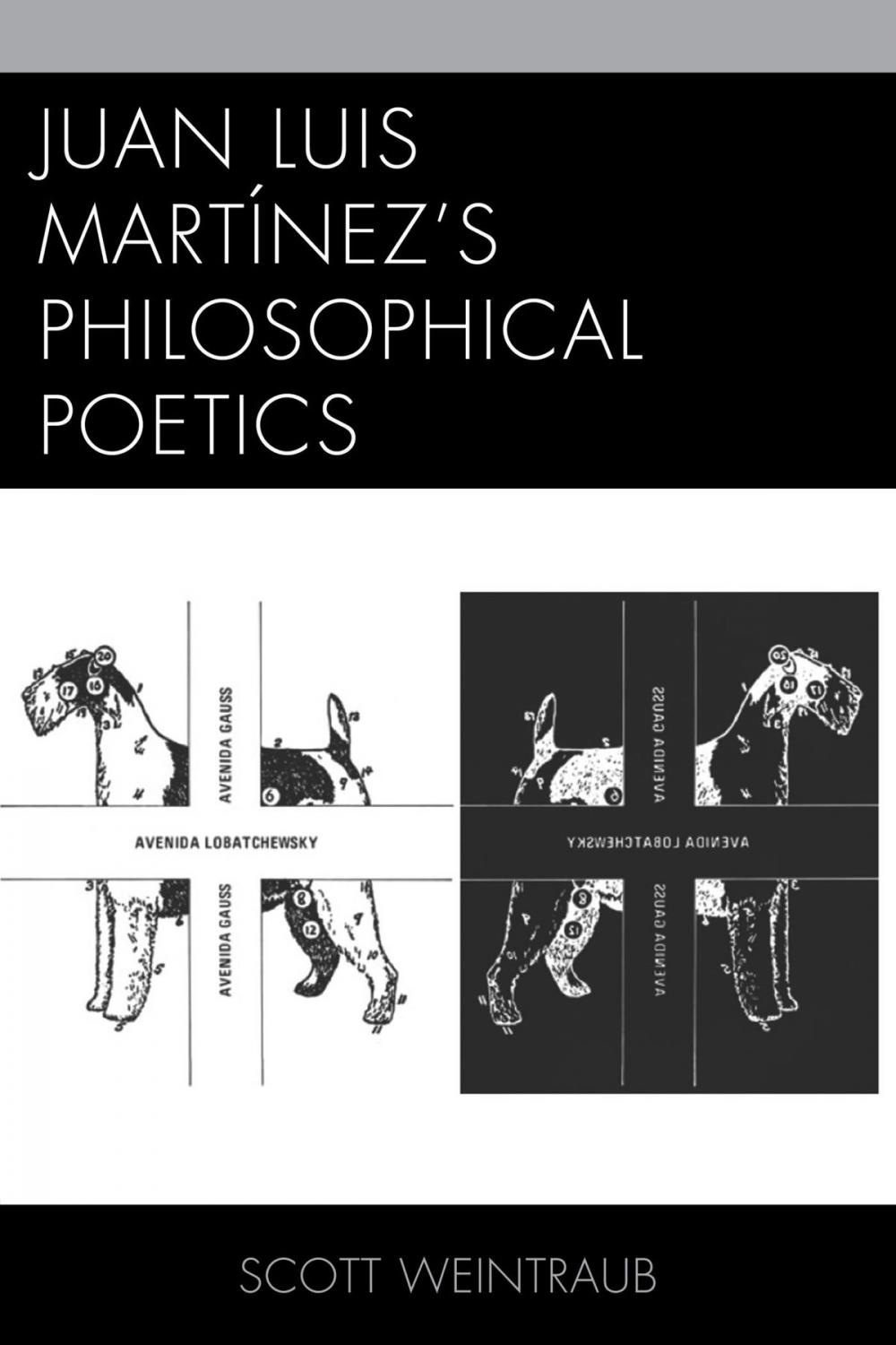 Big bigCover of Juan Luis Martínez’s Philosophical Poetics