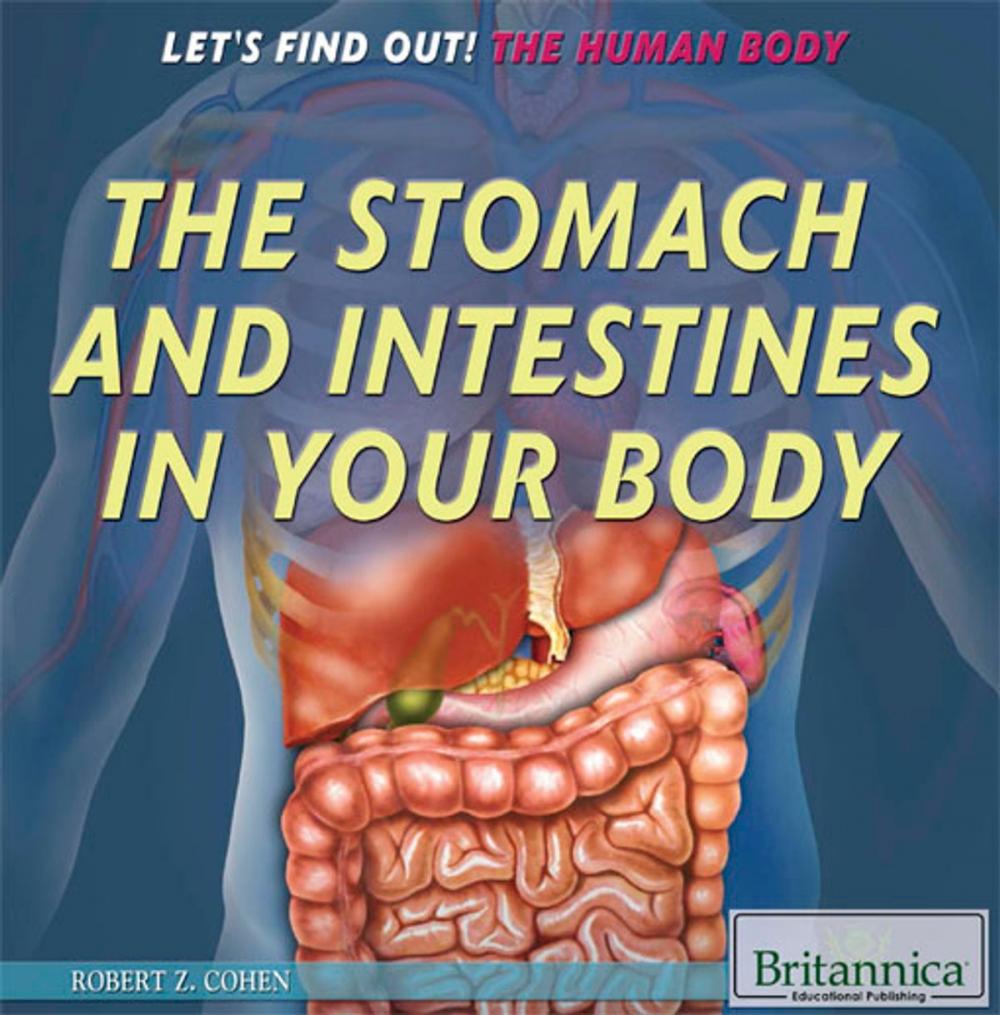 Big bigCover of The Stomach and Intestines in Your Body