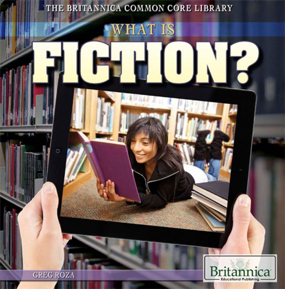 Big bigCover of What Is Fiction?