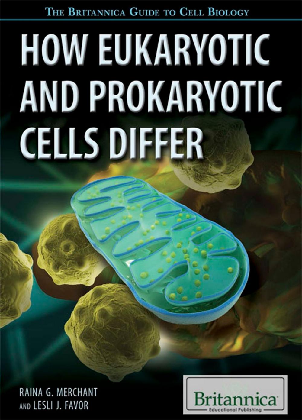 Big bigCover of How Eukaryotic and Prokaryotic Cells Differ