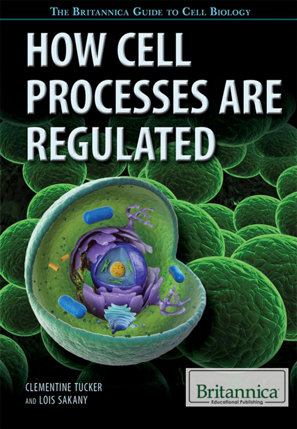 Big bigCover of How Cell Processes Are Regulated