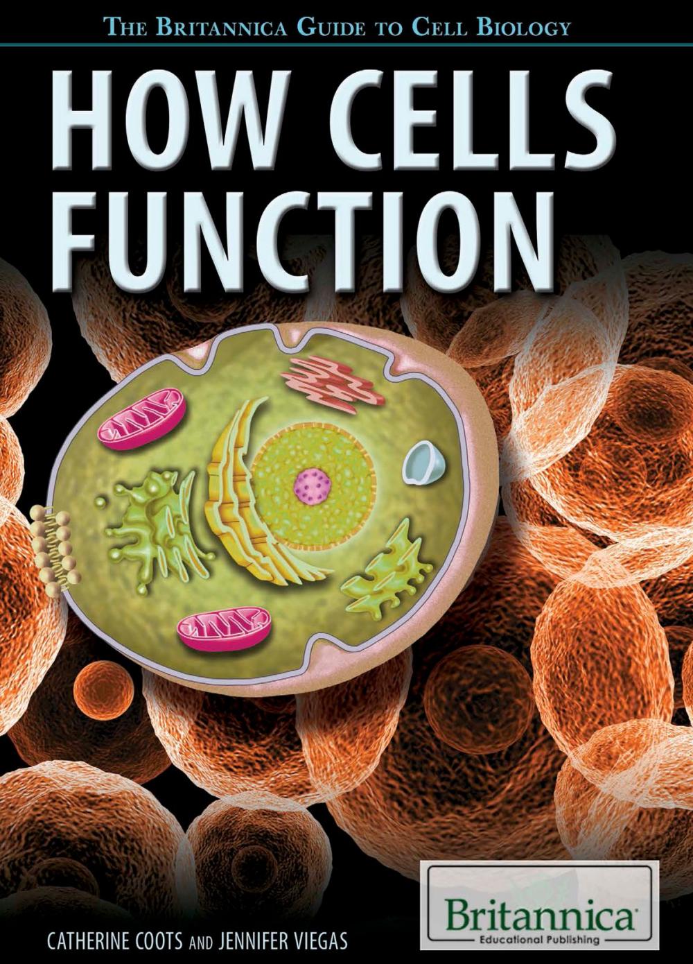 Big bigCover of How Cells Function