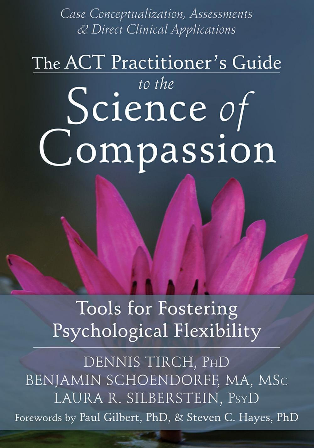 Big bigCover of The ACT Practitioner's Guide to the Science of Compassion