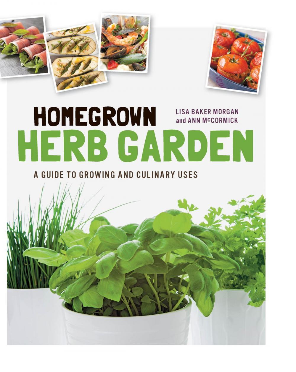 Big bigCover of Homegrown Herb Garden