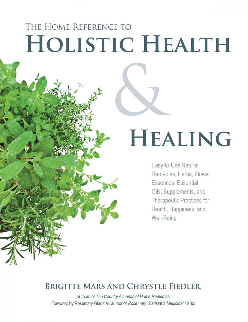 Big bigCover of The Home Reference to Holistic Health and Healing