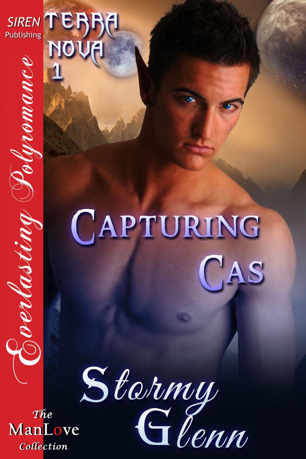 Big bigCover of Capturing Cas