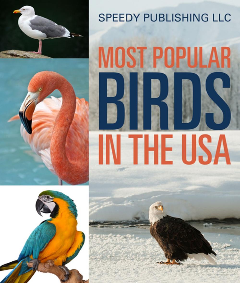 Big bigCover of Most Popular Birds In The USA