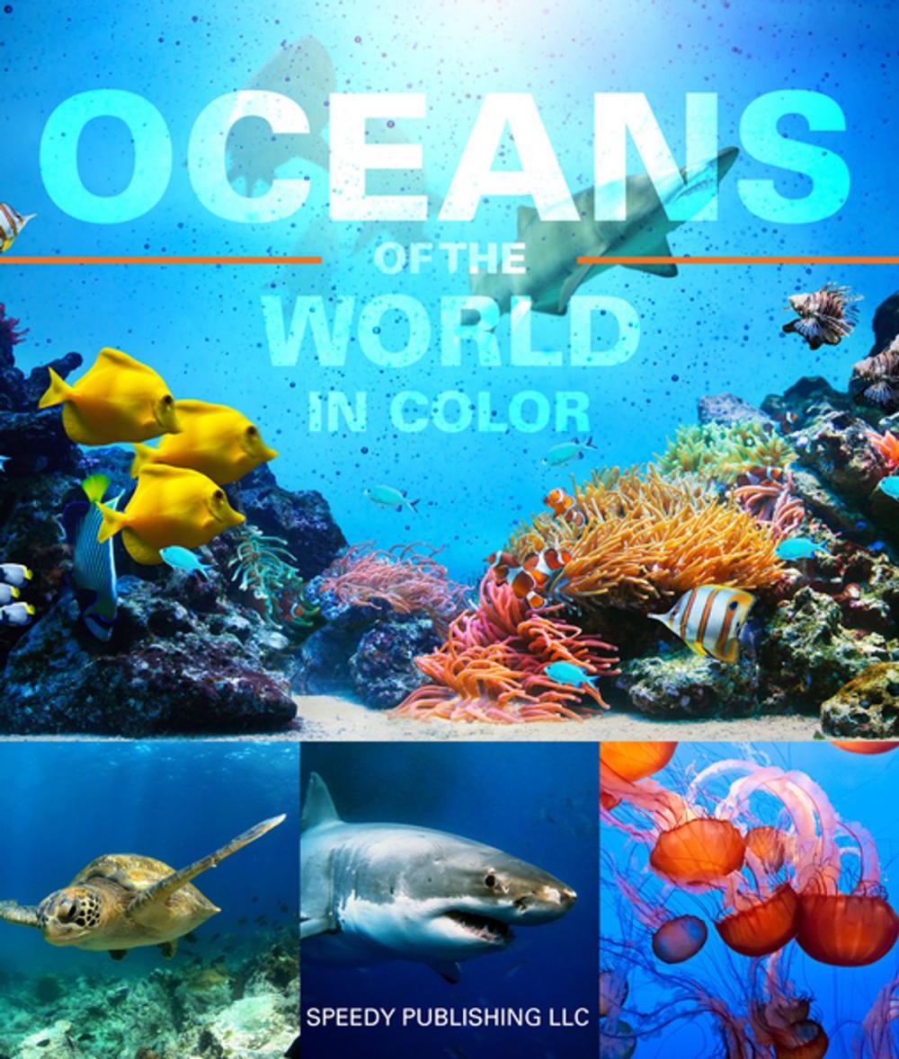 Big bigCover of Oceans Of The World In Color