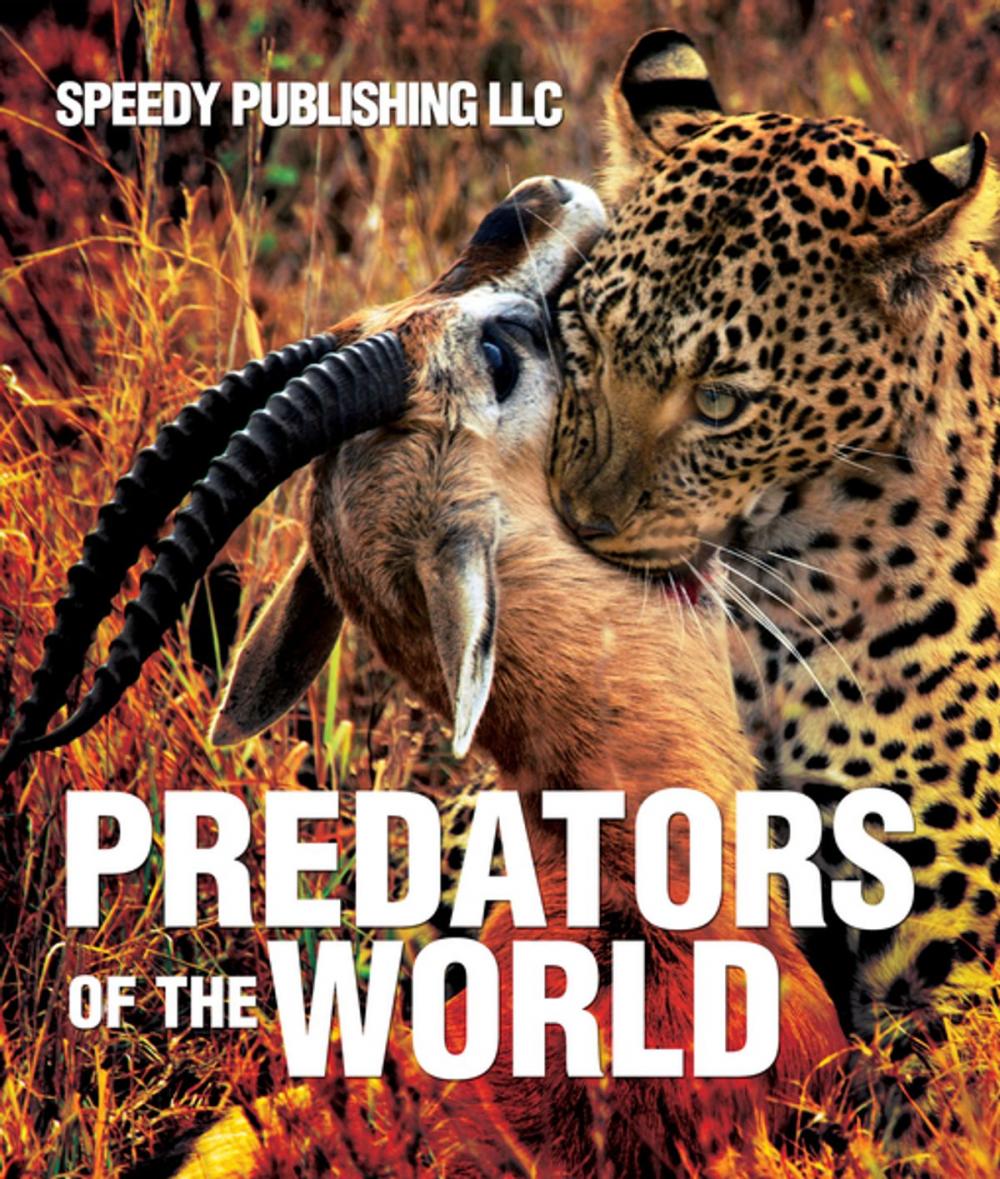 Big bigCover of Predators Of The World