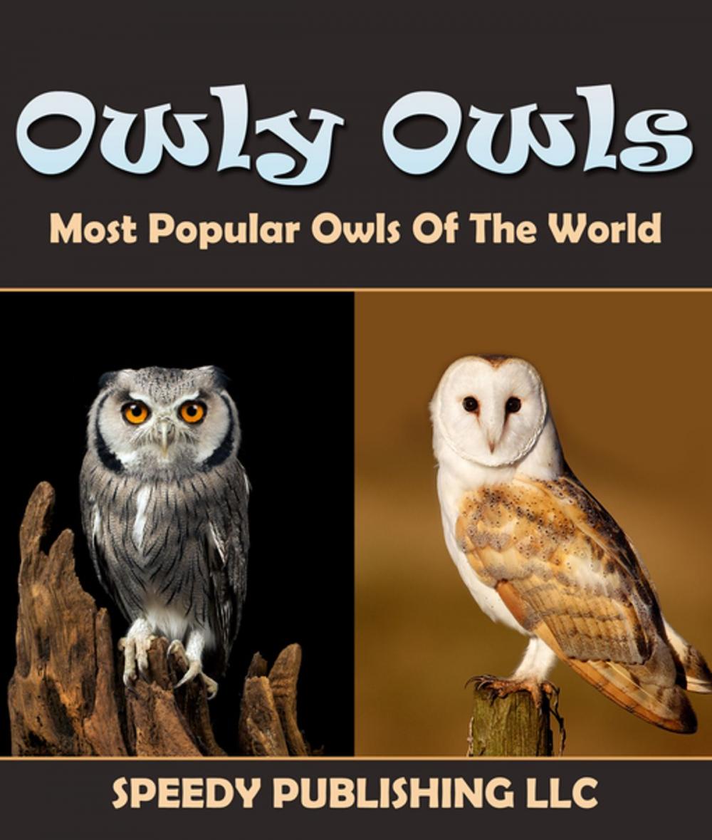 Big bigCover of Owly Owls Most Popular Owls Of The World