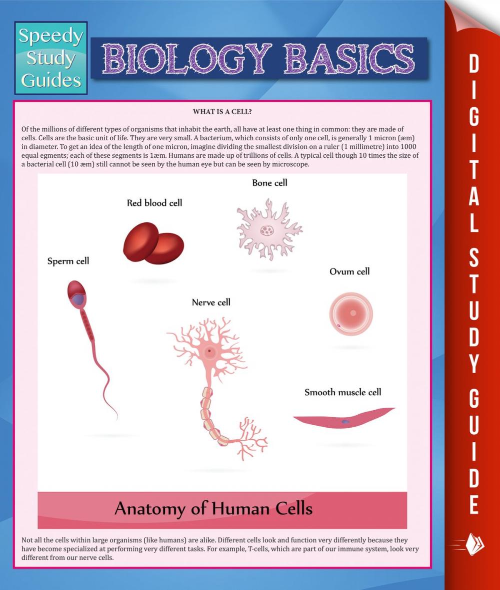 Big bigCover of Biology Basics (Speedy Study Guide)