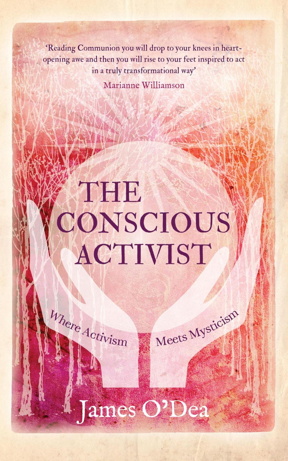 Big bigCover of The Conscious Activist