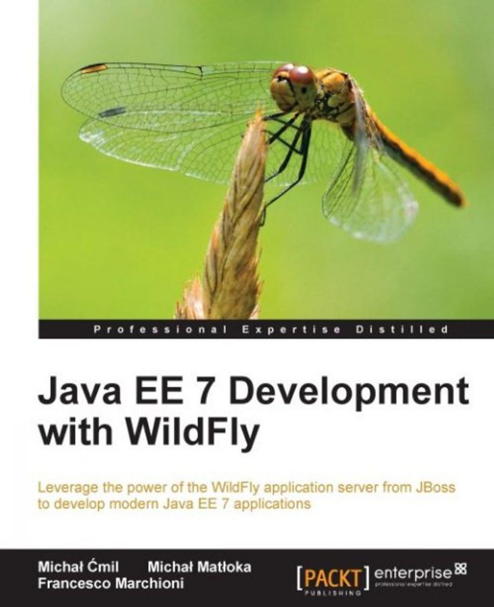 Big bigCover of Java EE 7 Development with WildFly