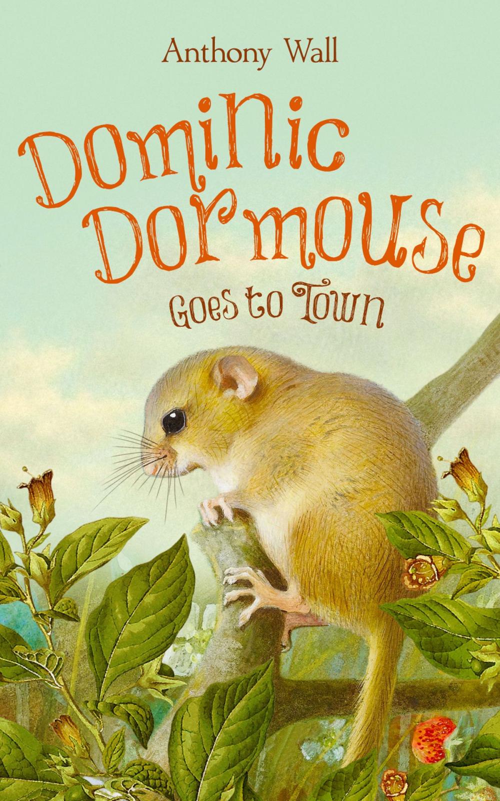 Big bigCover of Dominic Dormouse Goes to Town