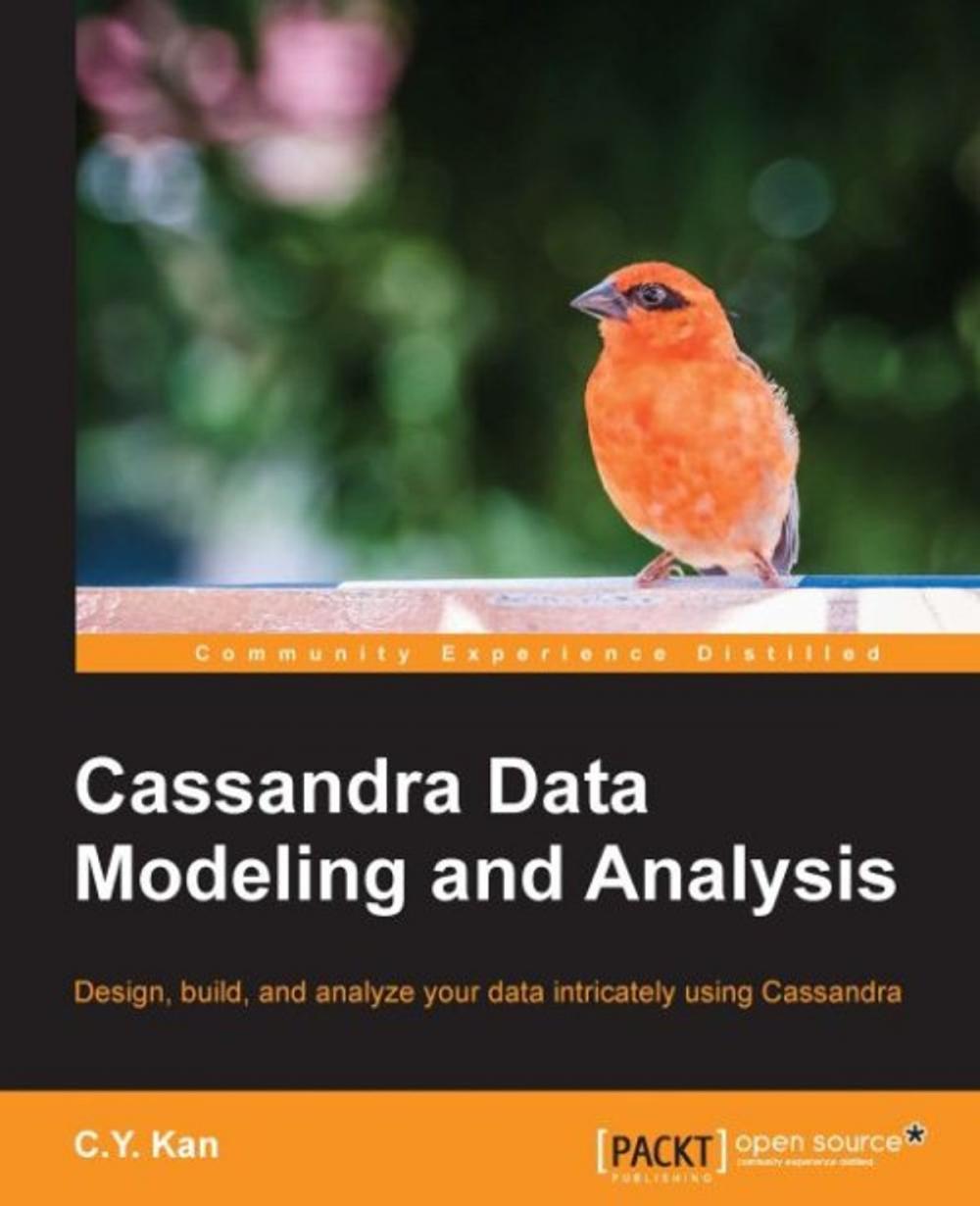 Big bigCover of Cassandra Data Modeling and Analysis