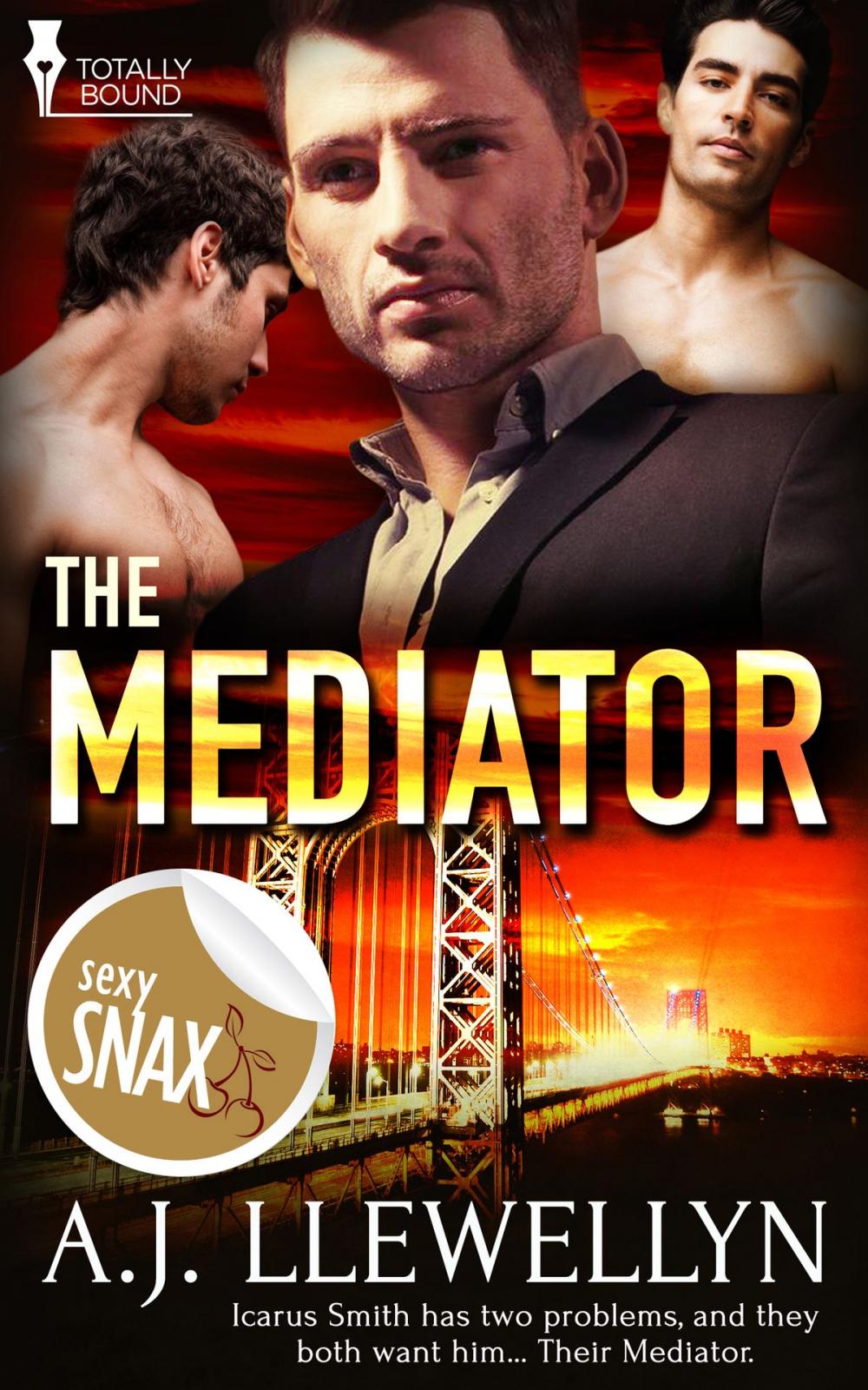 Big bigCover of The Mediator