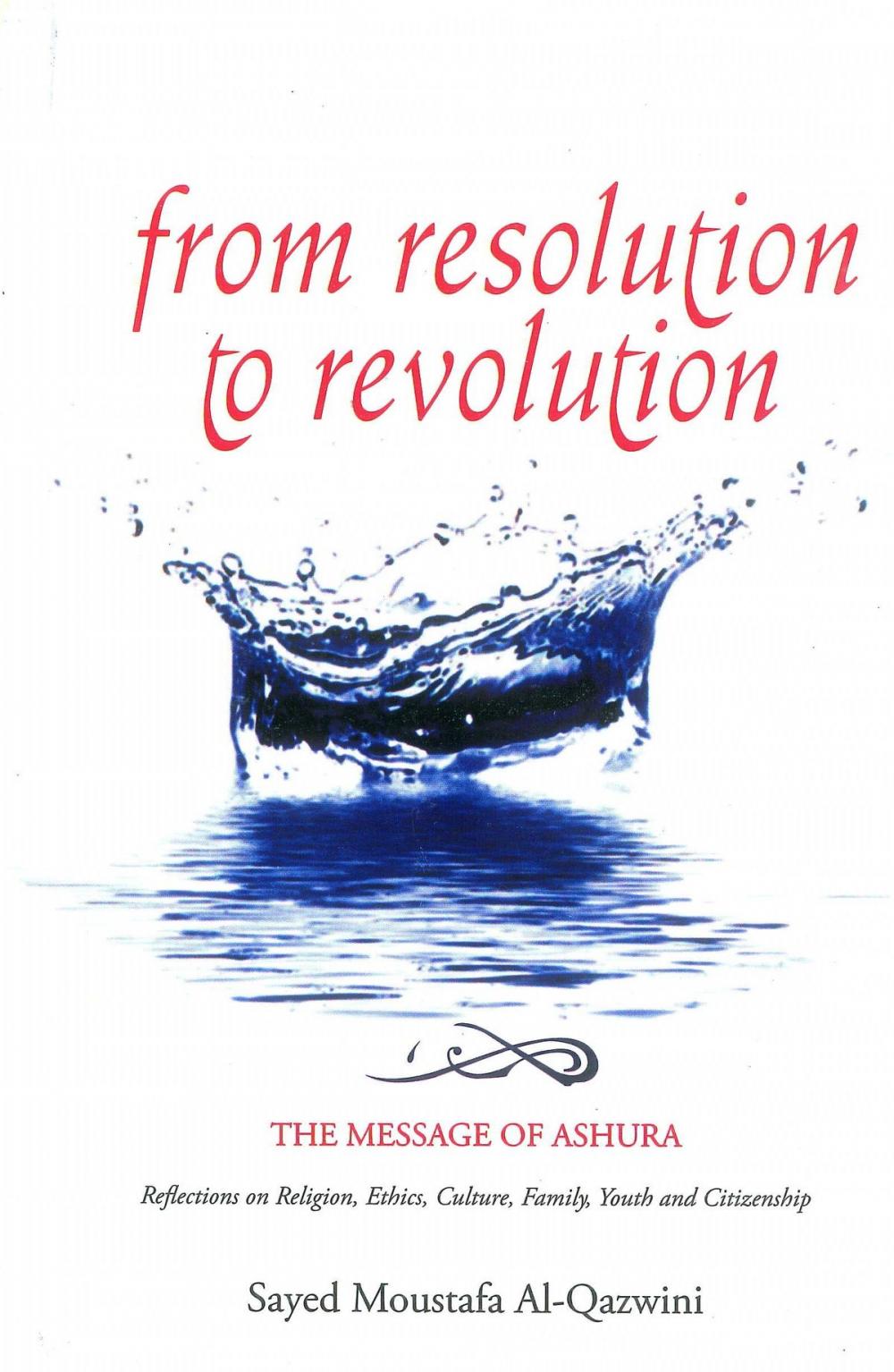 Big bigCover of From Resolution to Revolution