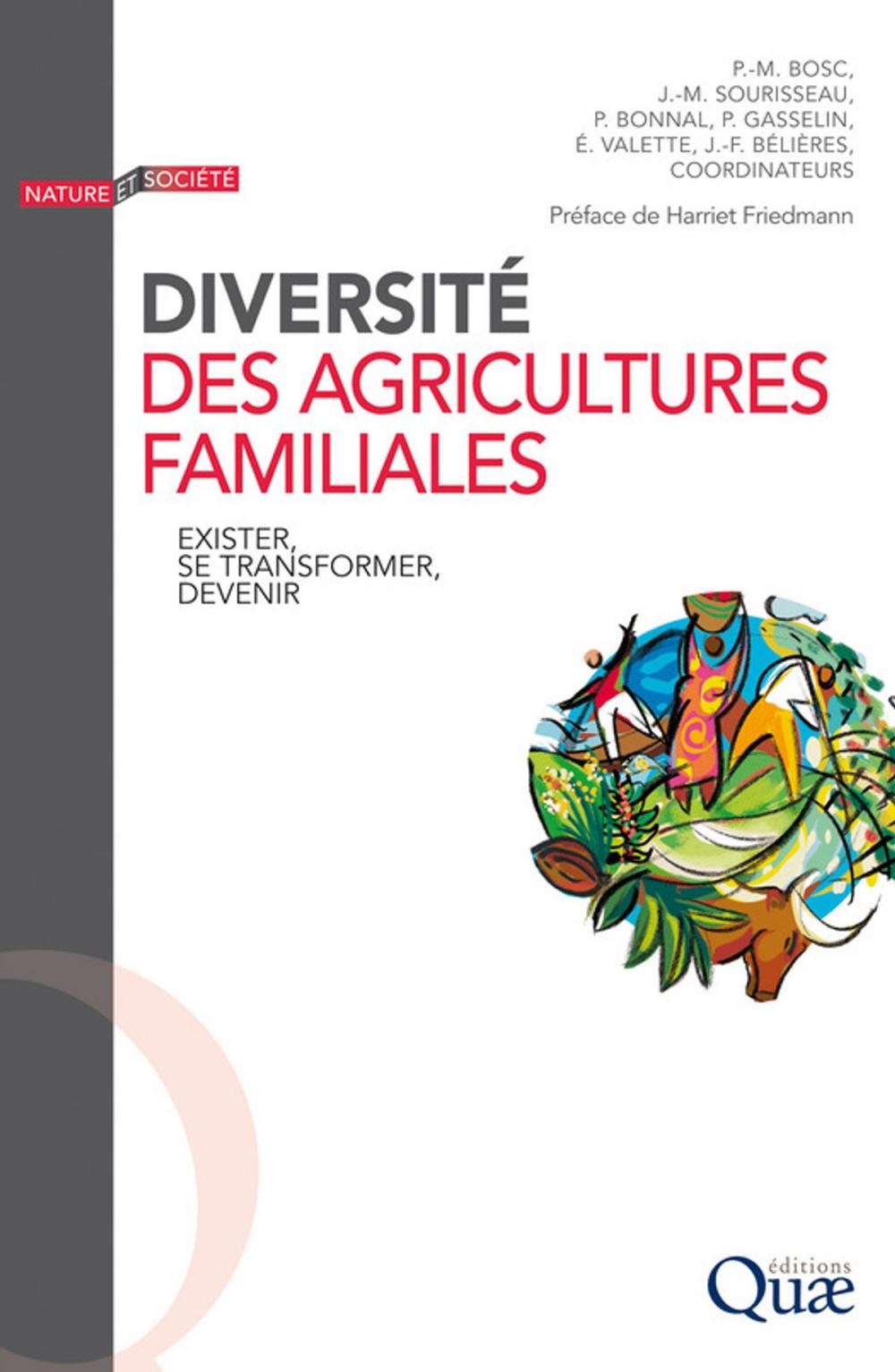 Big bigCover of Diversité des agricultures familiales