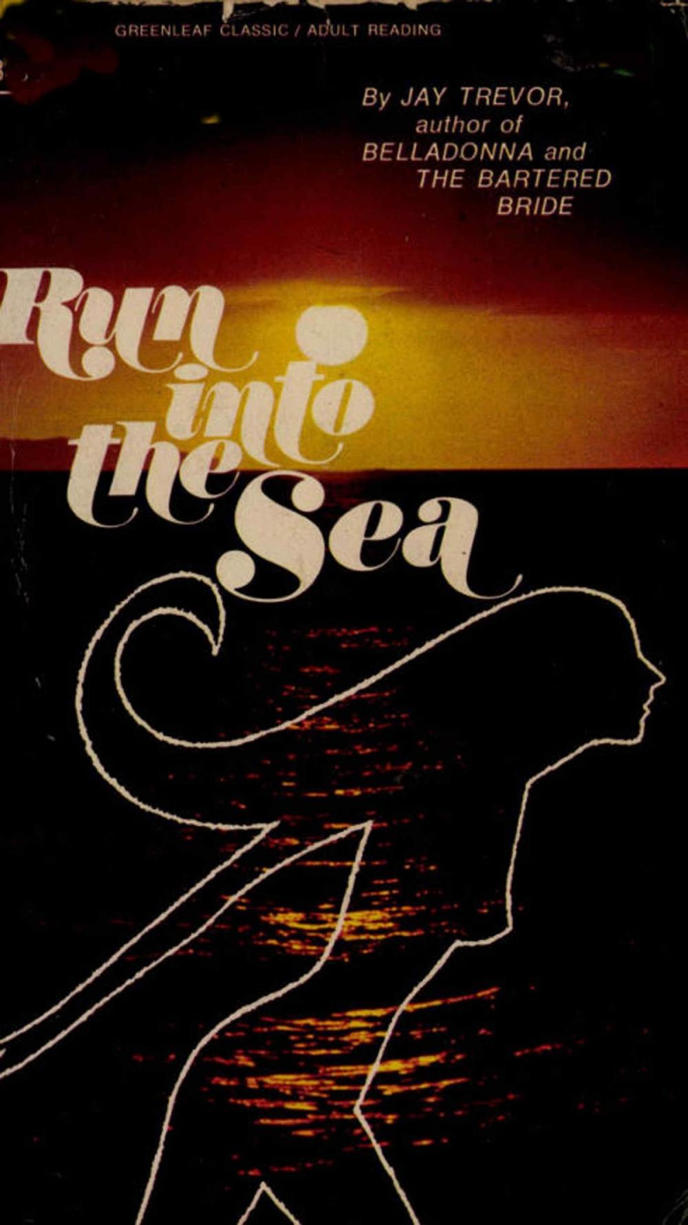 Big bigCover of Run into the Sea