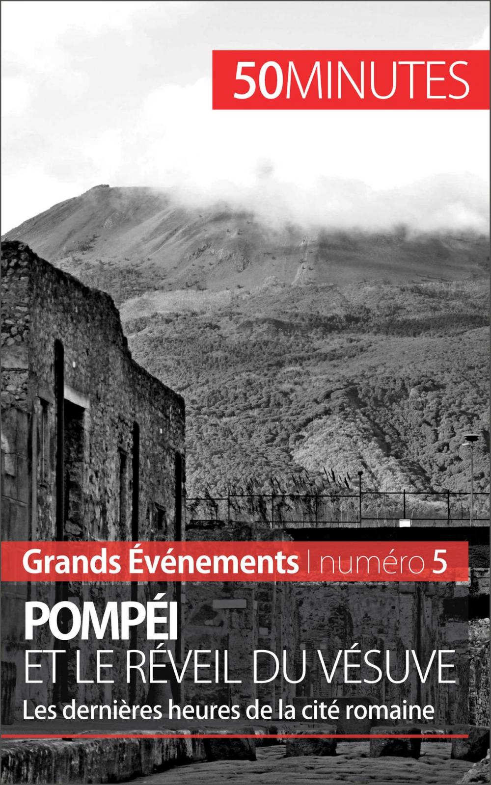 Big bigCover of Pompéi et le réveil du Vésuve