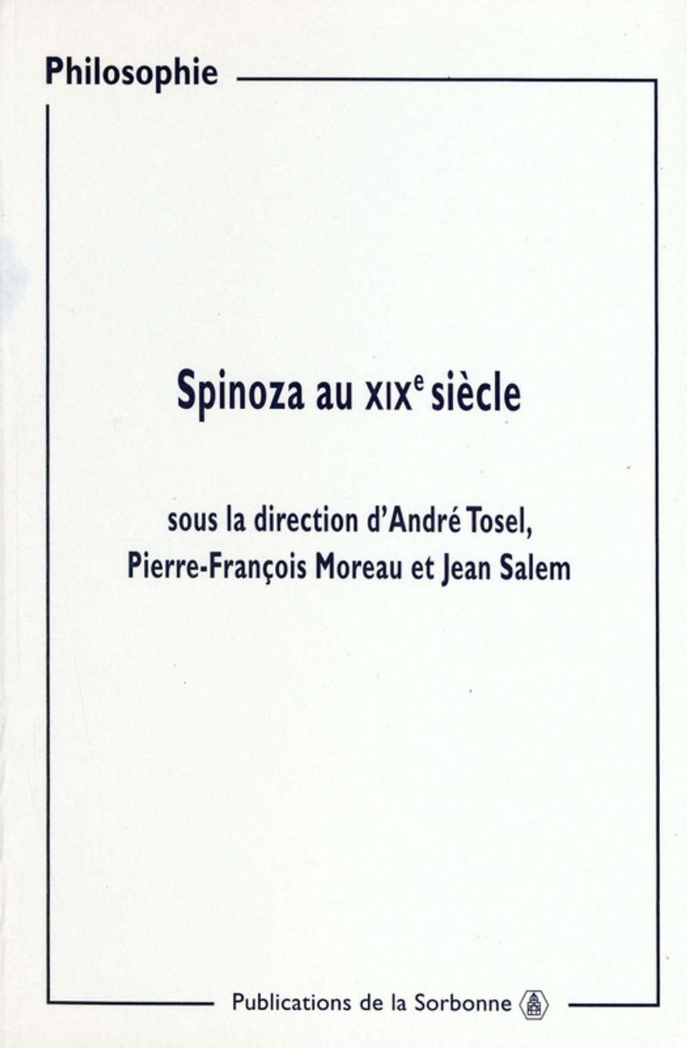Big bigCover of Spinoza au XIXe siècle