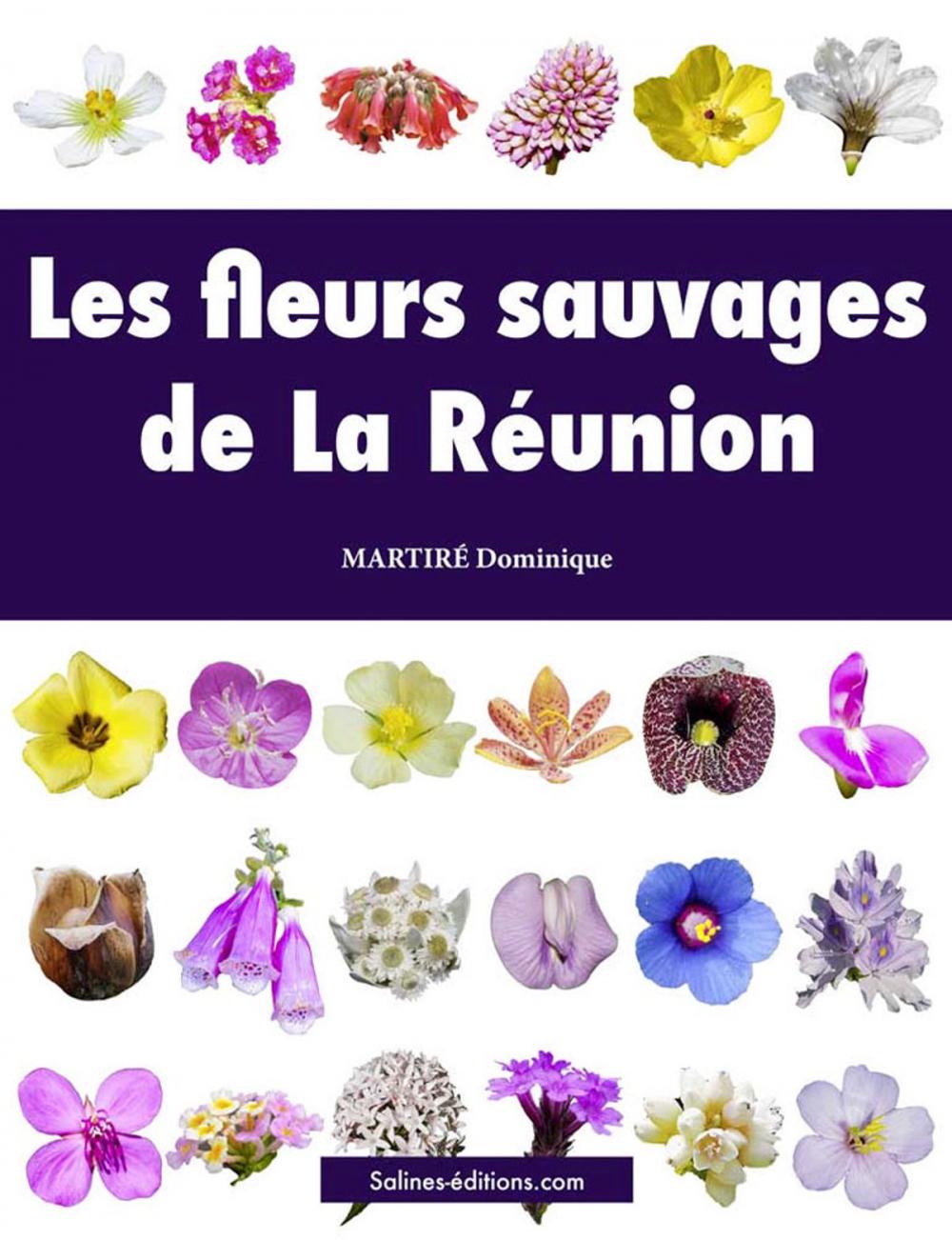 Big bigCover of Les fleurs sauvages de La Réunion