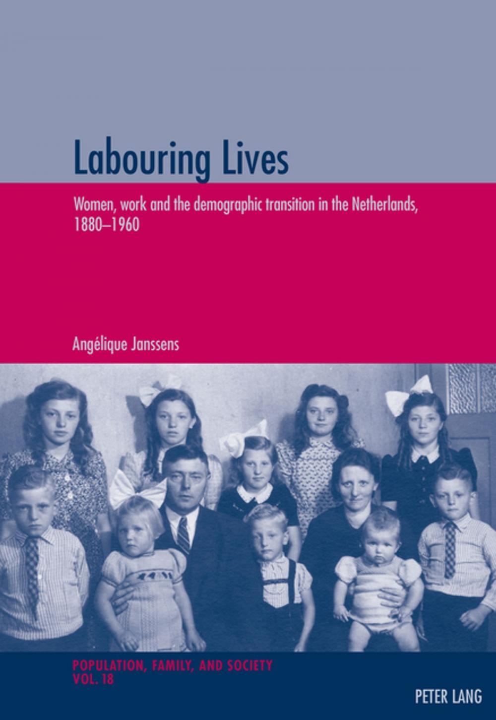 Big bigCover of Labouring Lives