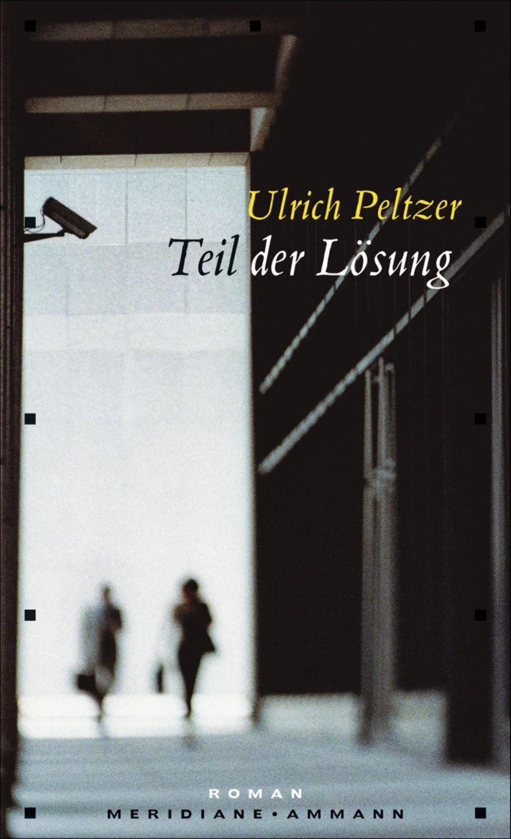 Big bigCover of Teil der Lösung