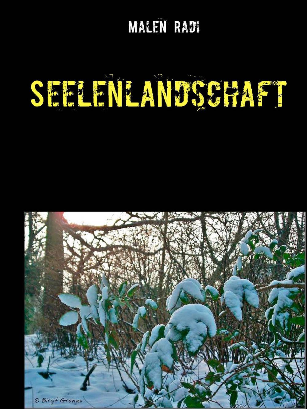 Big bigCover of Seelenlandschaft