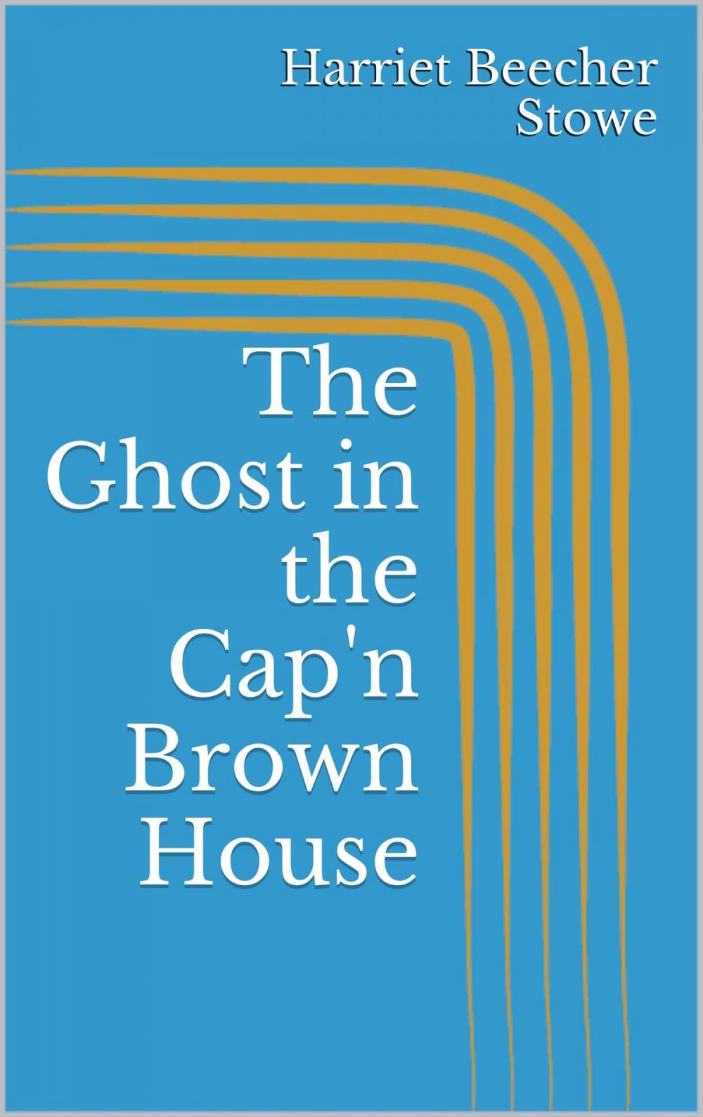 Big bigCover of The Ghost in the Cap'n Brown House