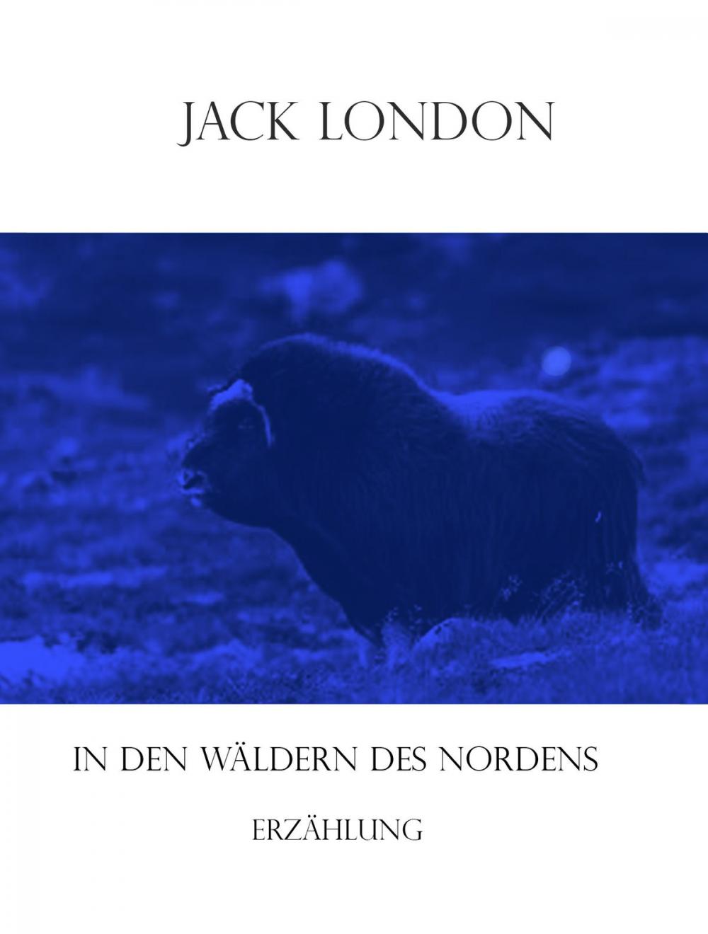 Big bigCover of In den Wäldern des Nordens