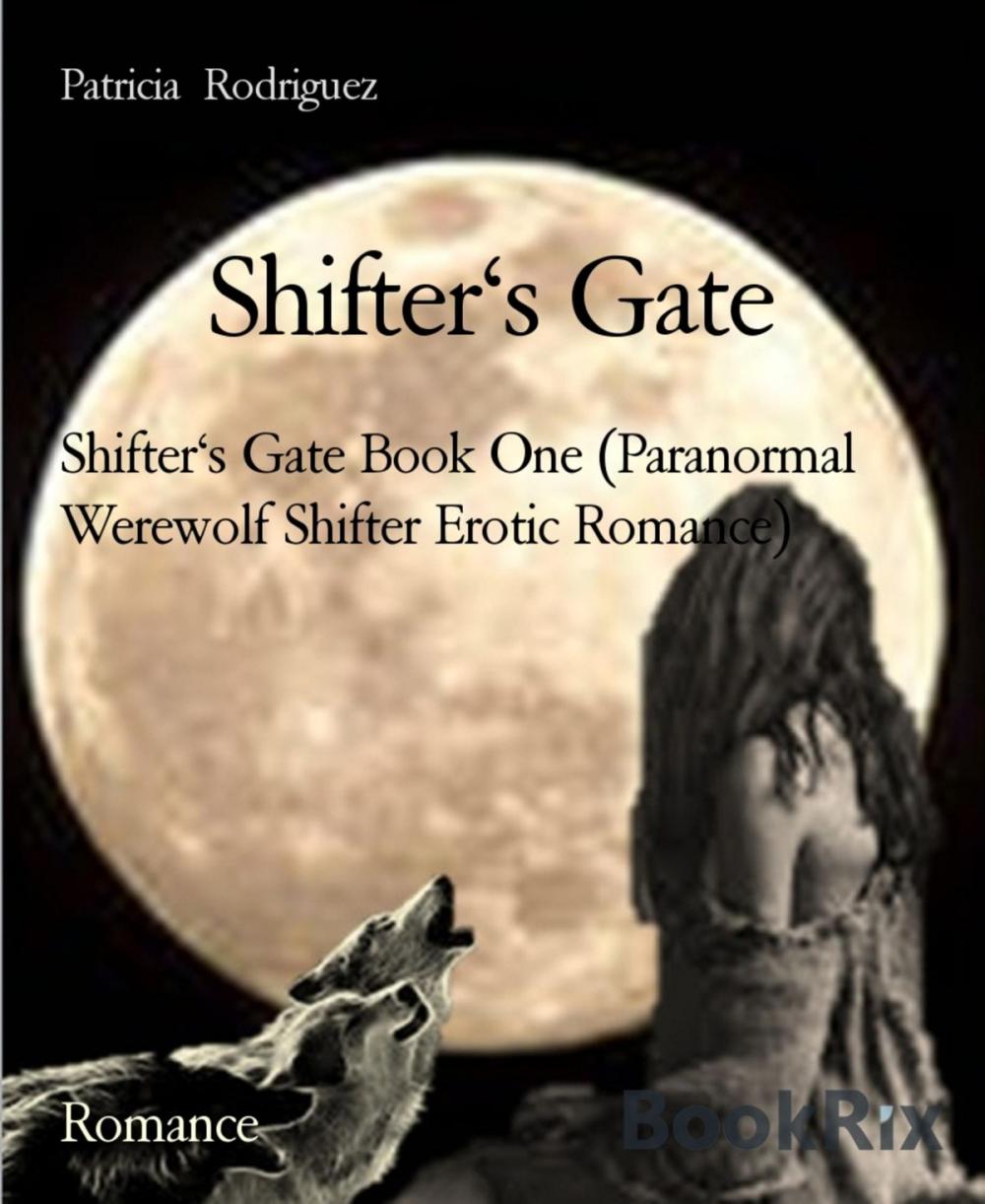 Big bigCover of Shifter's Gate