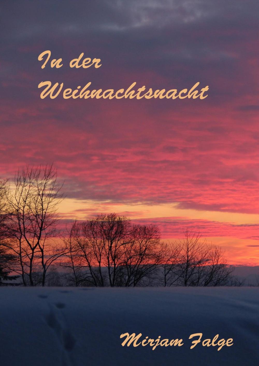 Big bigCover of In der Weihnachtsnacht