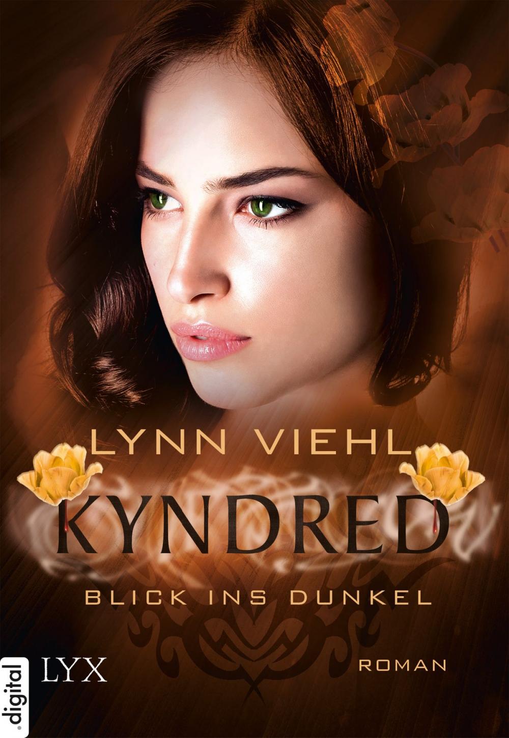 Big bigCover of Kyndred - Blick ins Dunkel