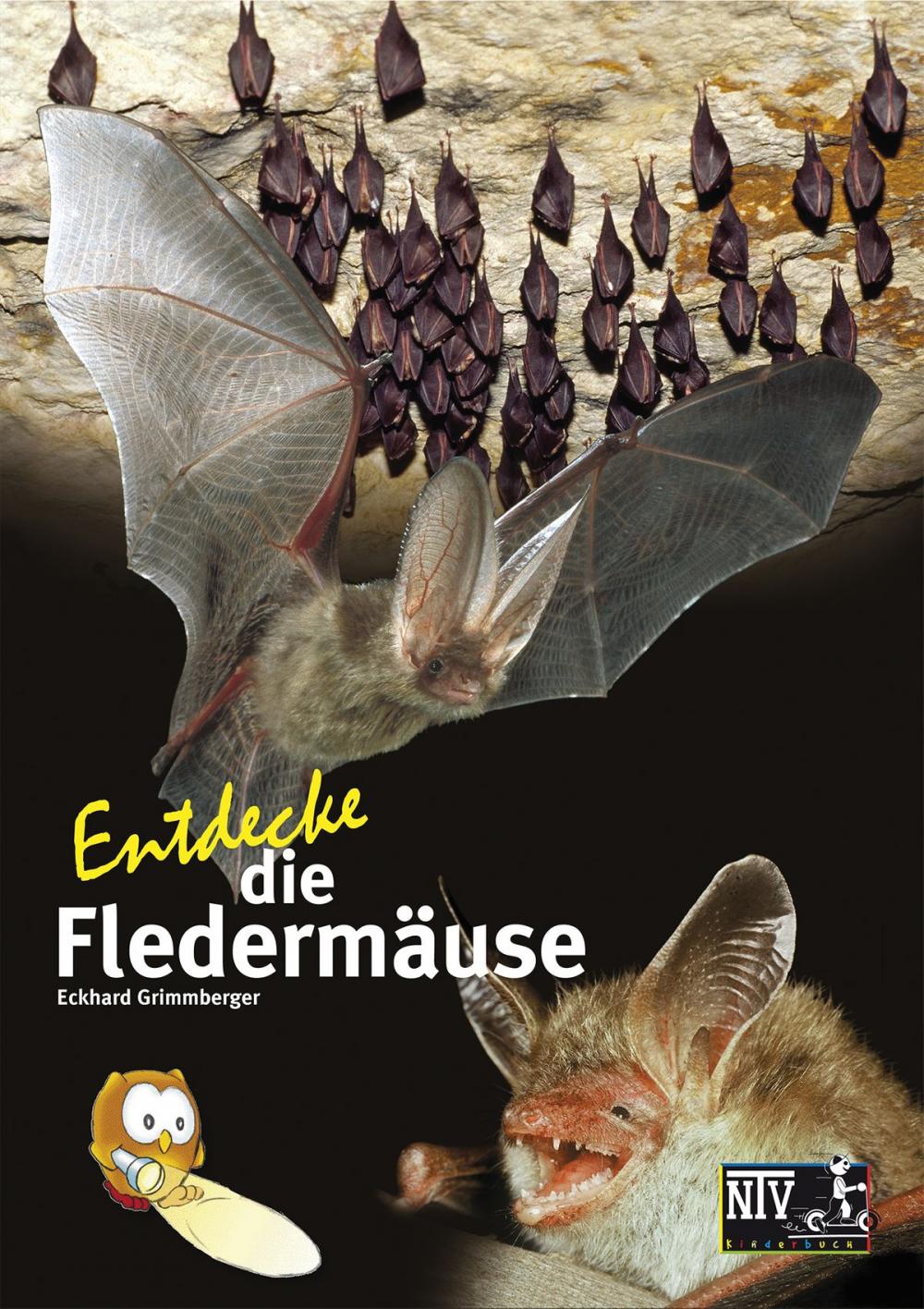 Big bigCover of Entdecke die Fledermäuse