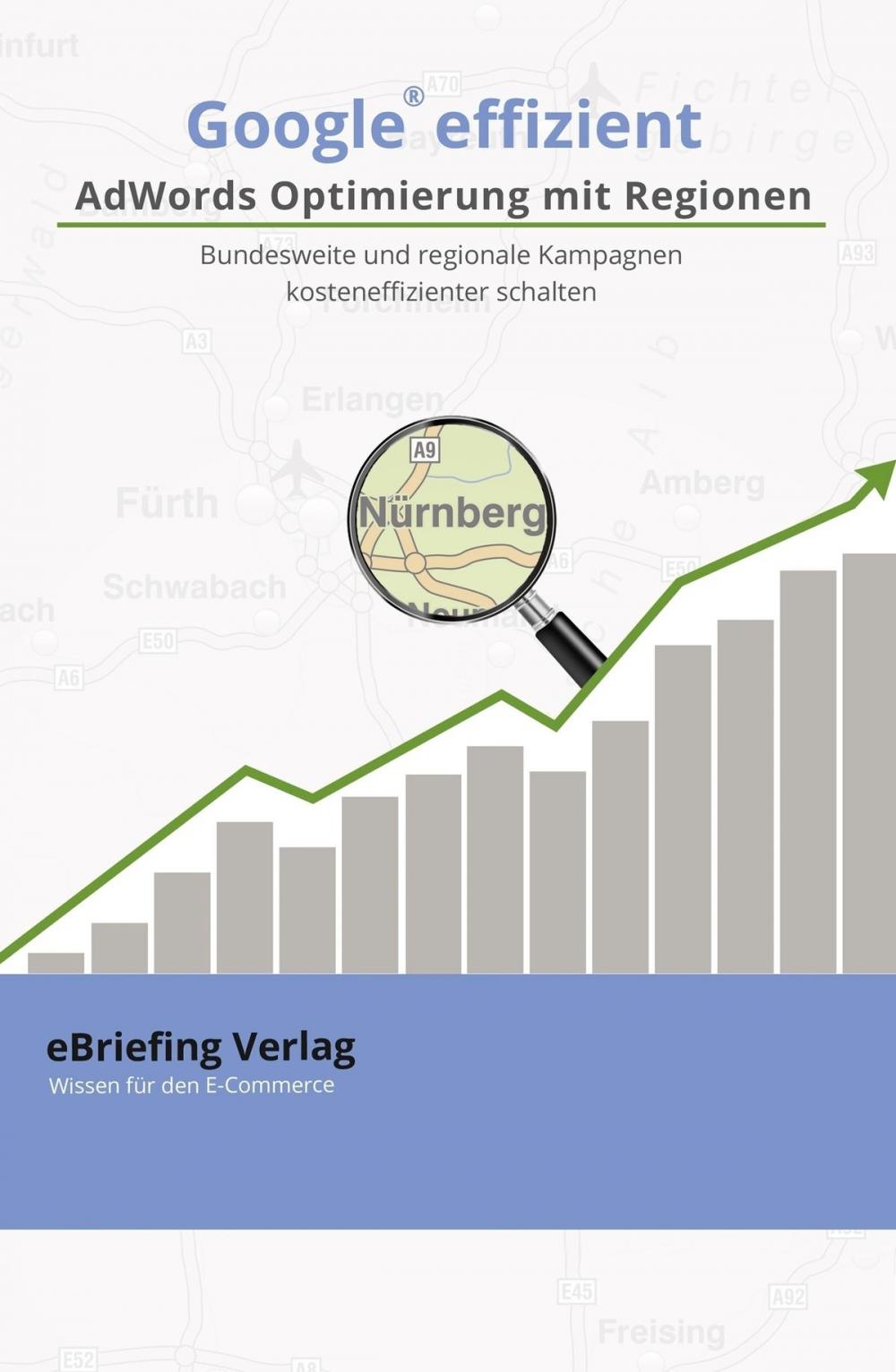 Big bigCover of Google effizient: AdWords Optimierung mit Regionen