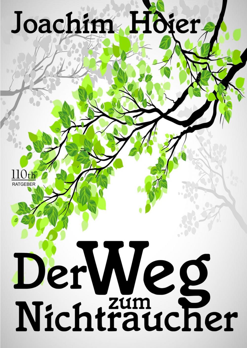 Big bigCover of Der Weg zum Nichtraucher