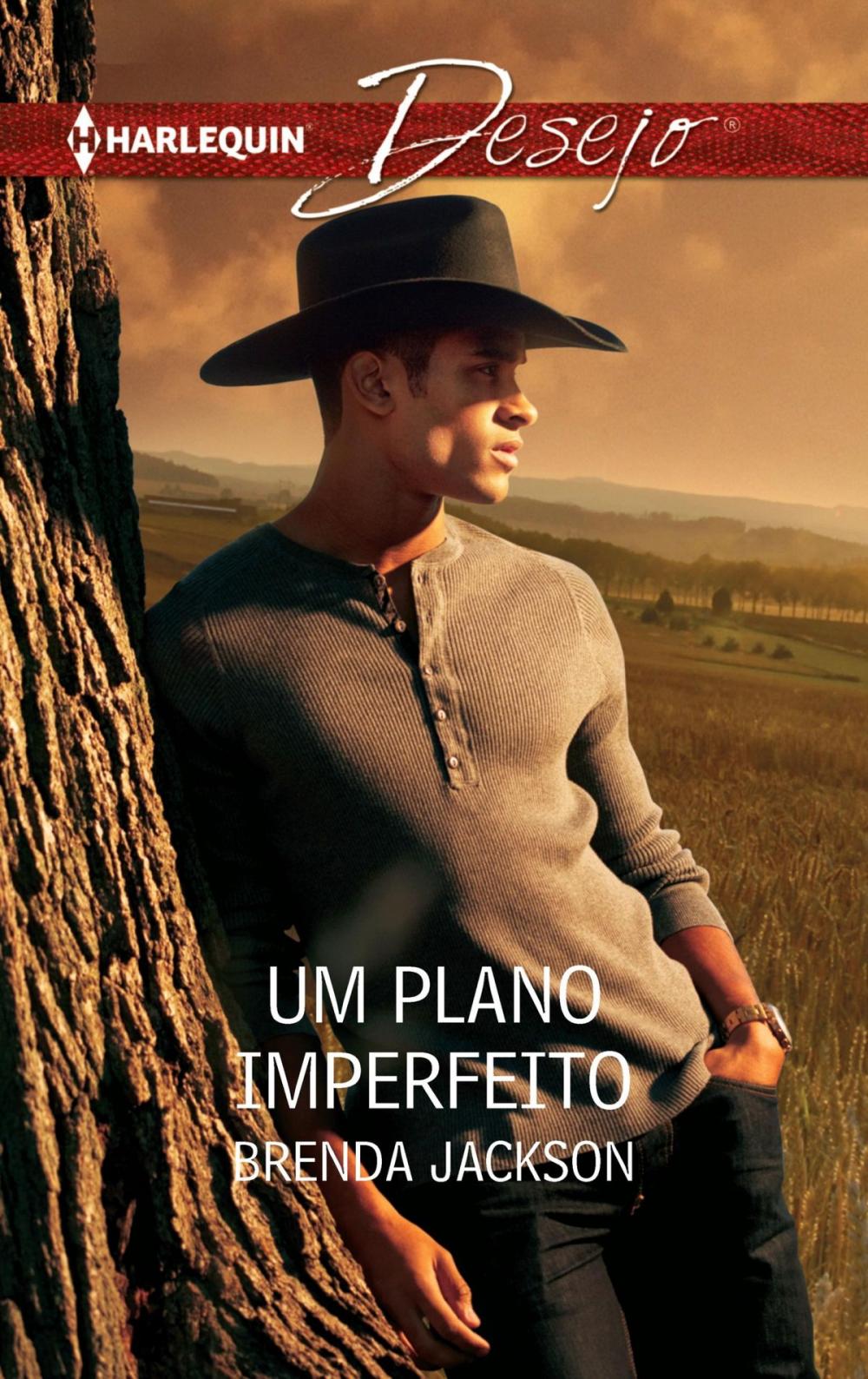 Big bigCover of Um plano imperfeito