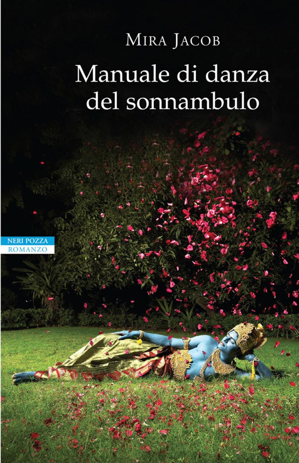 Big bigCover of Manuale di danza del sonnambulo