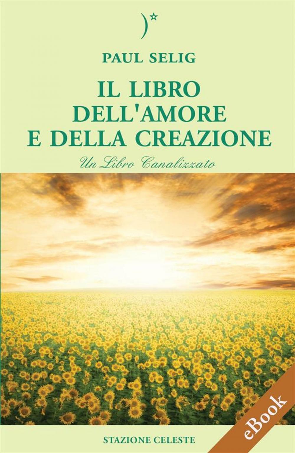 Big bigCover of Il Libro dell'Amore e della Creazione