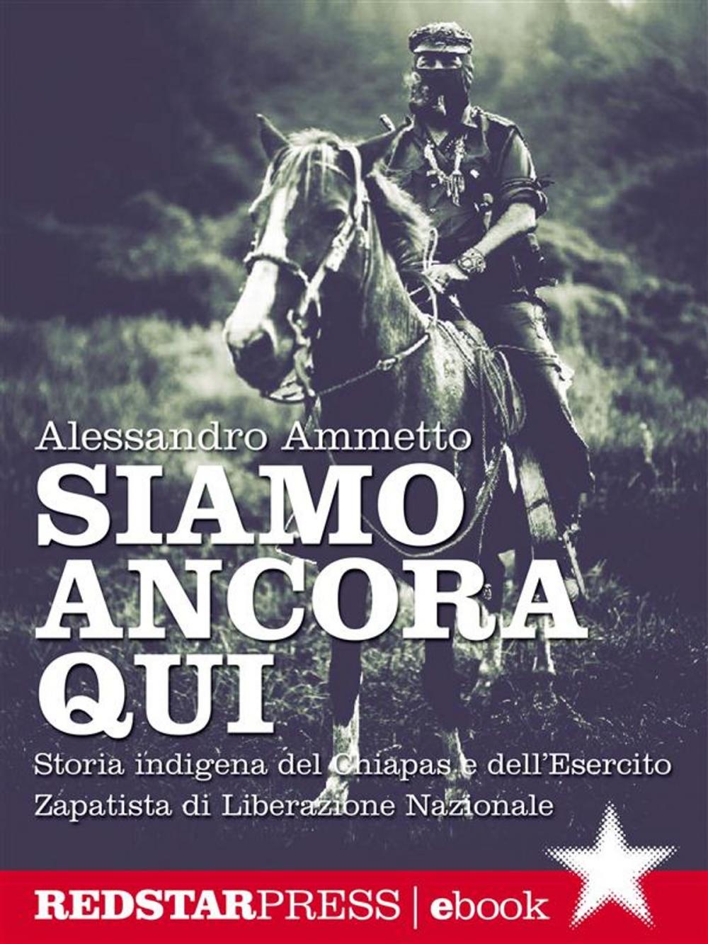 Big bigCover of Siamo ancora qui