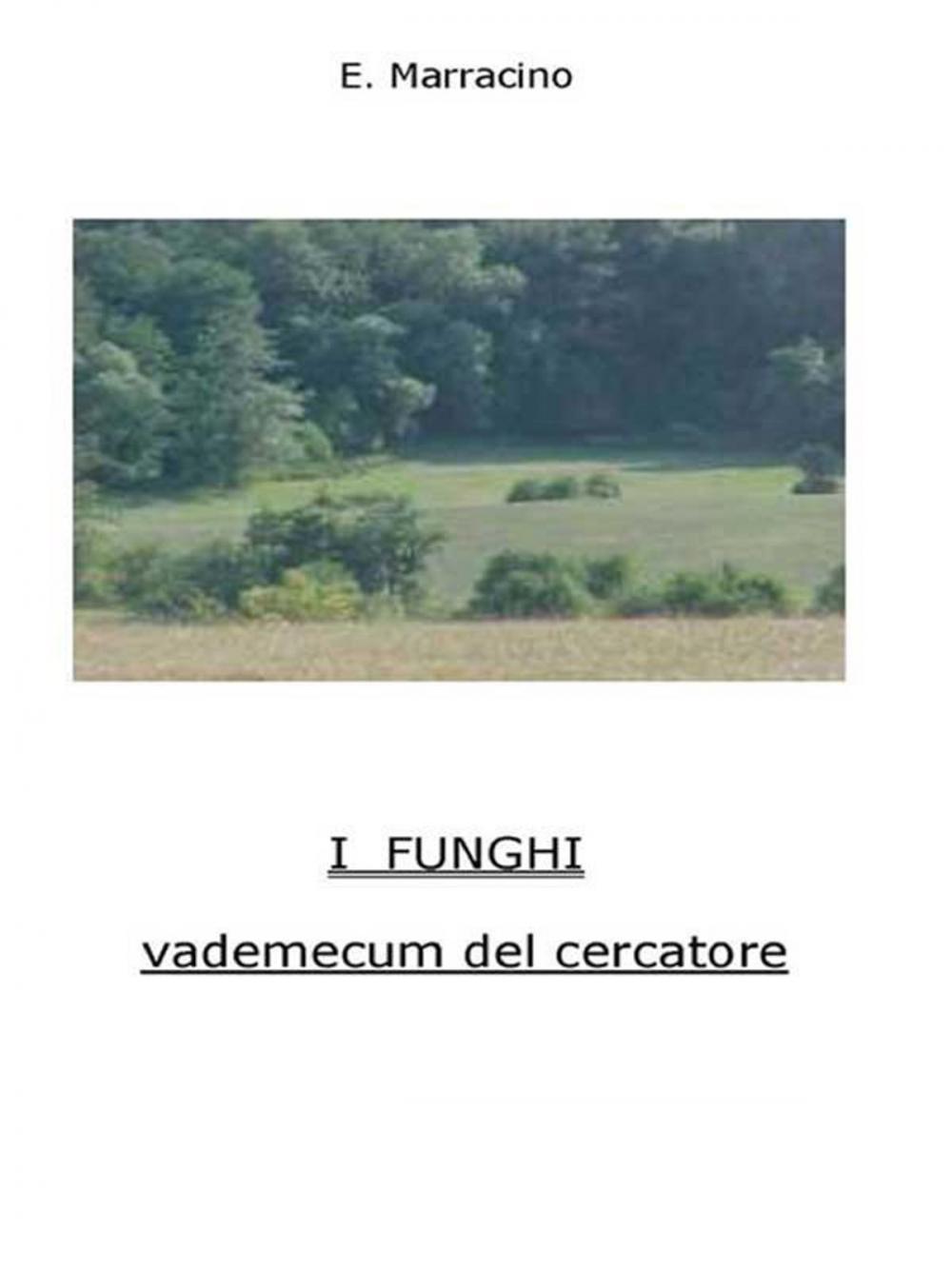 Big bigCover of I Funghi - vademecum del cercatore