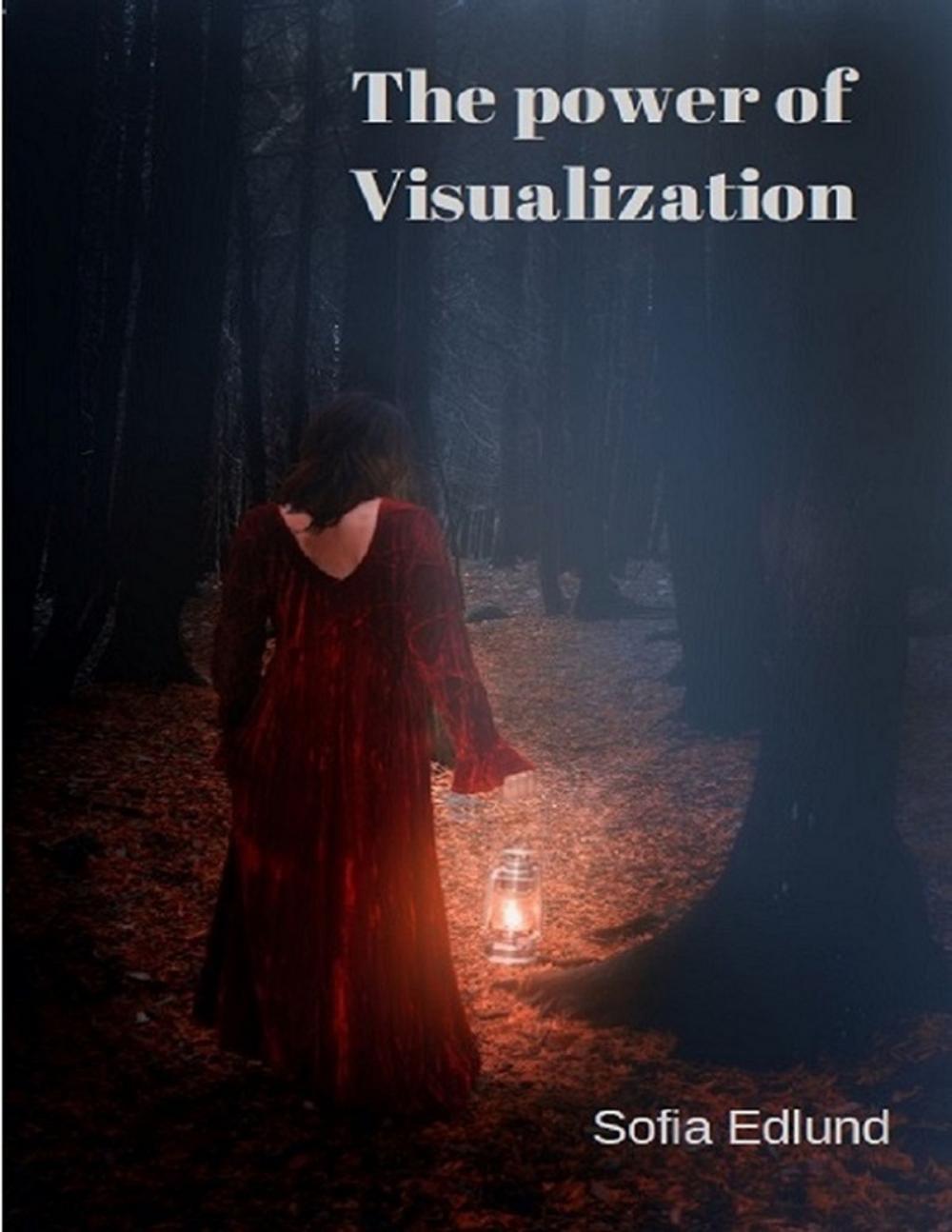 Big bigCover of Visualization