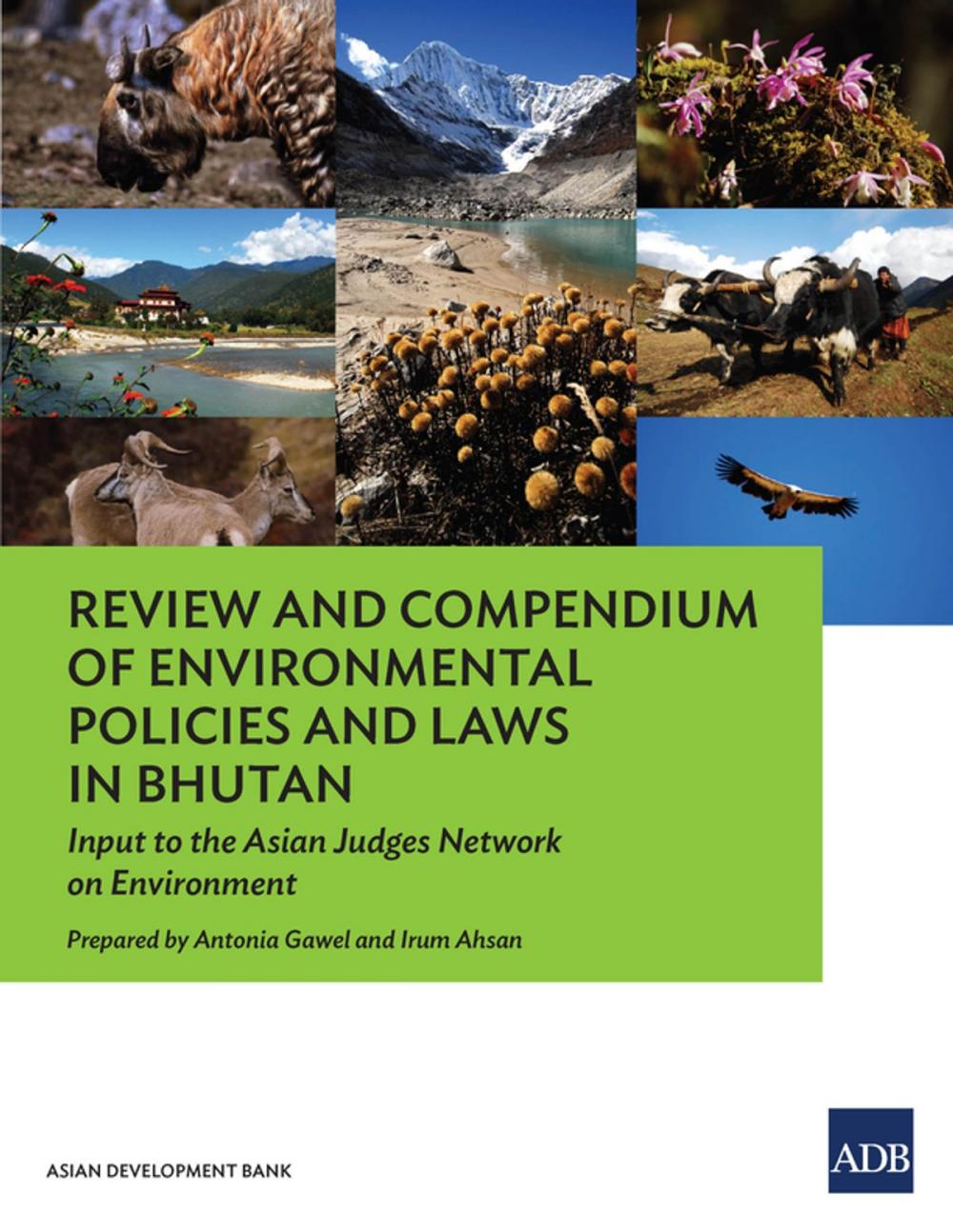 Big bigCover of Review and Compendium of Environmental Policies and Laws in Bhutan