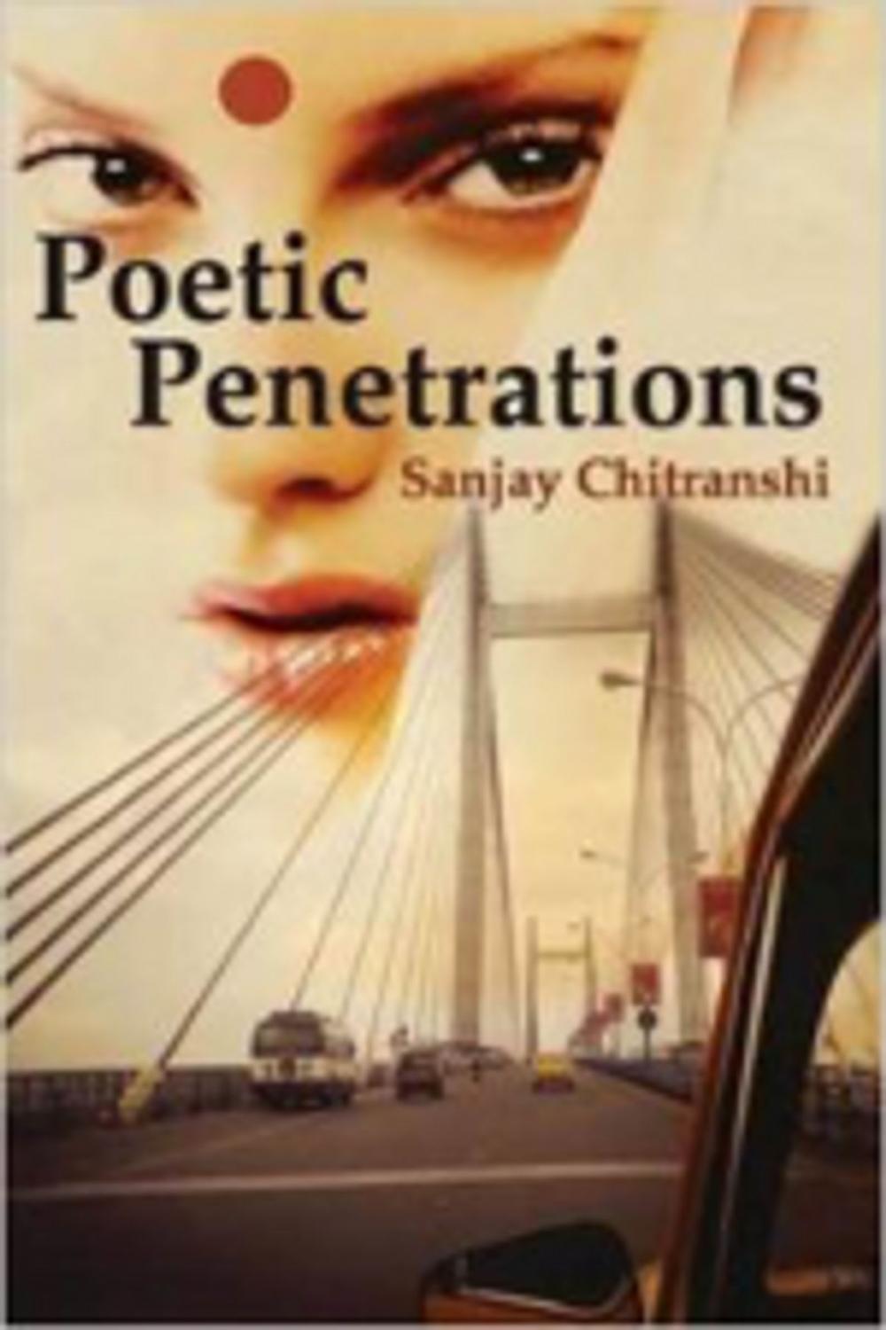 Big bigCover of Poetic Penetrations