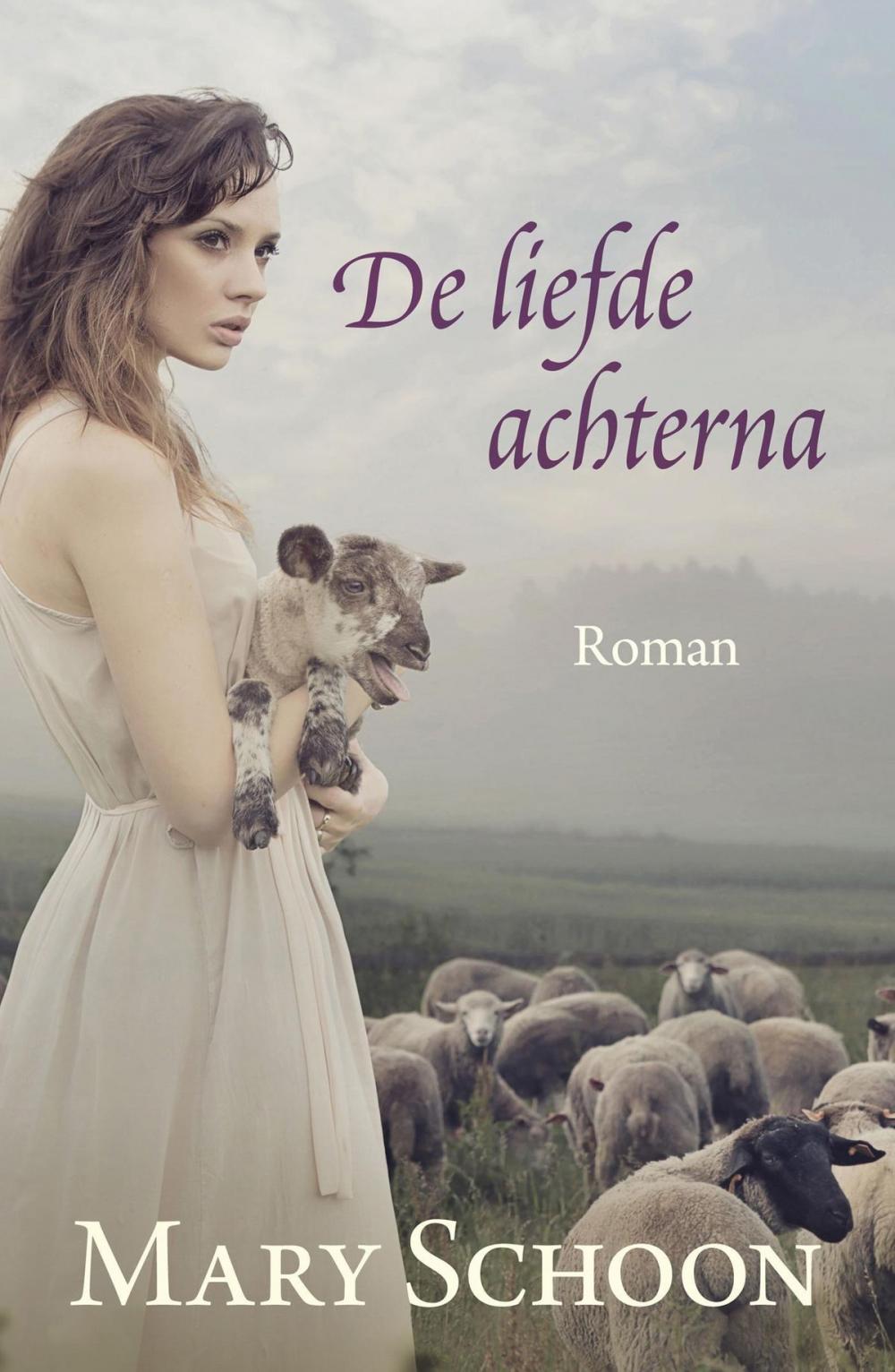 Big bigCover of De liefde achterna