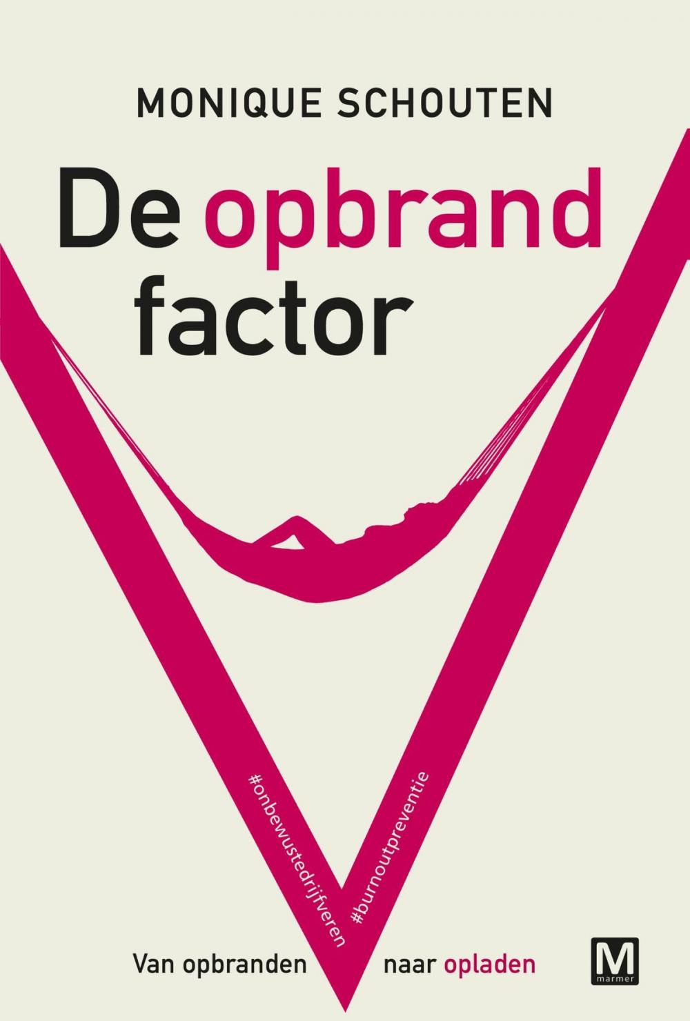 Big bigCover of De opbrandfactor