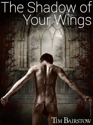 Cover of the book The Shadow of Your Wings by Taylor Ryan