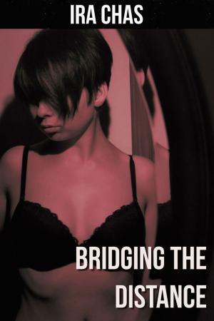 Book cover of Bridging the Distance