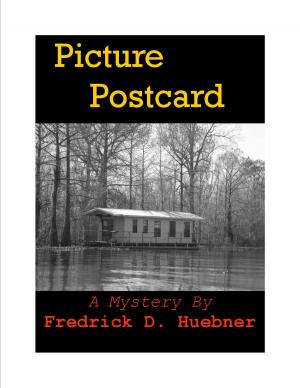 Cover of the book Picture Postcard by Frederick Huebner
